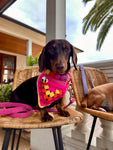 Crochet Dog Bandana - Hot Pink