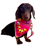 Crochet Dog Bandana - Hot Pink