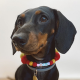 Personalised Pom Pom Dog Collar - España Mix - Red