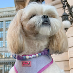 Personalised Pom Pom Dog Collar - Lavender Blue