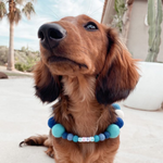 Personalised Pom Pom Dog Collar - Blue