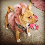 Handmade Pink Fluffy Tiny Bear Coat