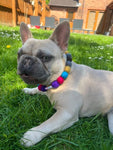Personalised Pom Pom Dog Collar - Dolly Mix