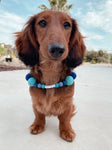 Personalised Pom Pom Dog Collar - Blue