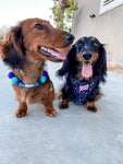 Personalised Pom Pom Dog Collar - Blue