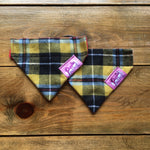 Cornish Tartan Bandana