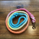 Ombre Rainbow Rope Lead