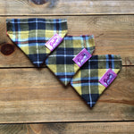 Cornish Tartan Bandana