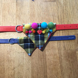 Cornish Tartan Bandana with Rainbow Pom Poms