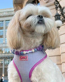 Personalised Pom Pom Dog Collar - Lavender Blue