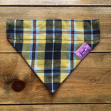 Cornish Tartan Bandana