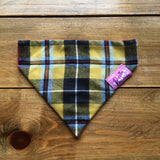 Cornish Tartan Bandana