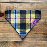 Cornish Tartan Bandana