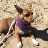 Ombré Purple & Pink Crochet Dog Snood / Buff