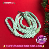 Peppermint Green Rope Lead