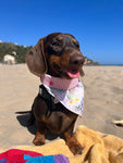 Spring Bunnies Pink Vichy Dog Bandana