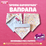 Spring Superstars Dog Bandana - Snap On