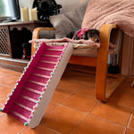 Puppy Ramp