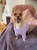 Lavender Pawfect Pup Jumper - Clearance Sale