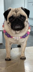 Lavender & Pinks - Personalised Pom Pom Dog Collar - As seen in Vogue